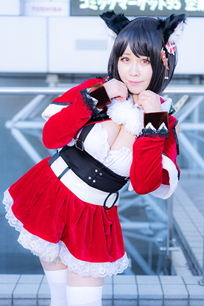 コミケ コミックマーケット C95 冬コミ コスプレイヤー コスプレ アニメ 漫画