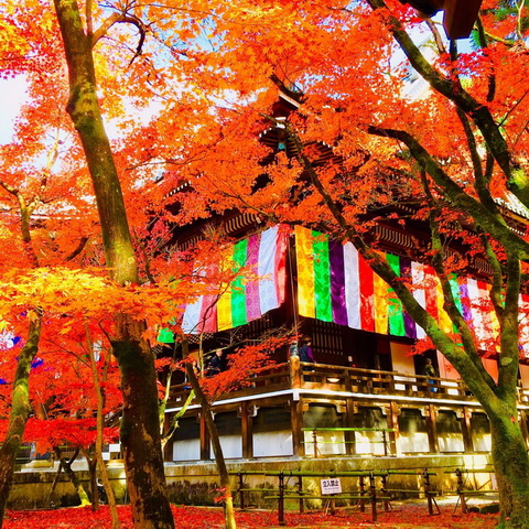 神社仏閣ランキング3位