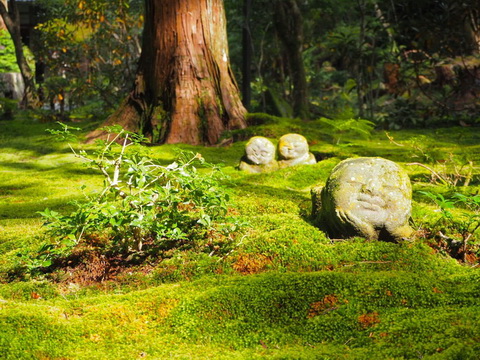 神社仏閣ランキング24位