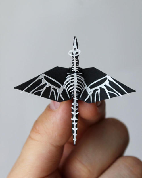 進化系折り鶴06