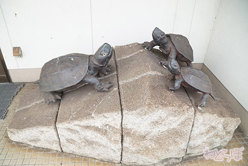 亀甲駅 亀甲 岡山県 卵かけご飯