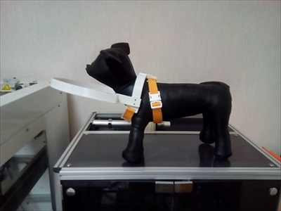 ドッグバンパー・イージー