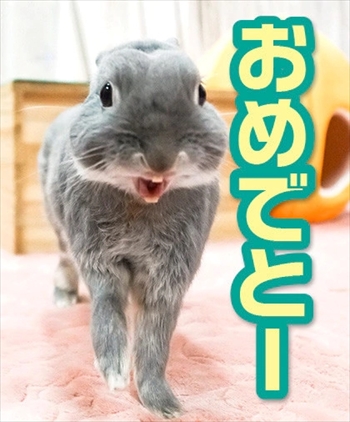 うさぎのふうた