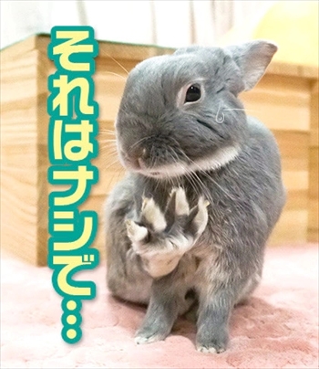 うさぎのふうた