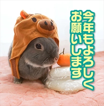 うさぎのふうた