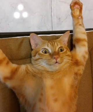 目を覚ましたレオさん