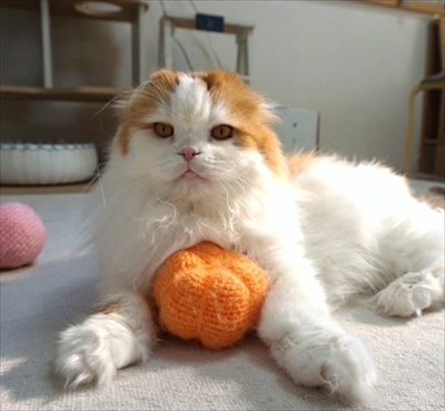 なめネコれおくんピーチくん