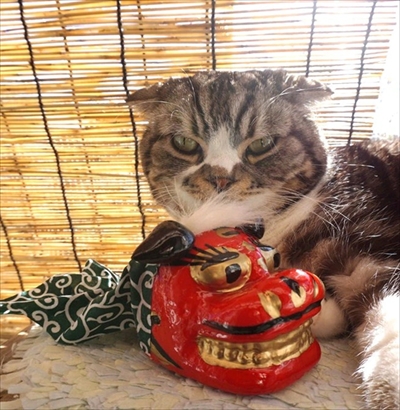 なめネコれおくんピーチくん