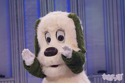 白石麻衣 乃木坂 まいやん いくちゃん ゆっかー ぽん さしこ ゆきりん 紅白