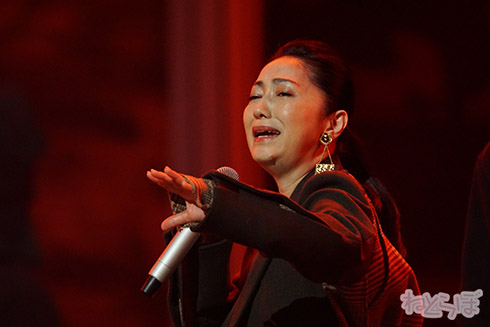 白石麻衣 乃木坂 まいやん いくちゃん ゆっかー ぽん さしこ ゆきりん 紅白