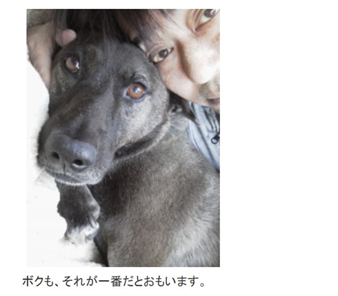 坂上忍 坂本ちくわ 猫 保護猫 保護犬 ペット 家族