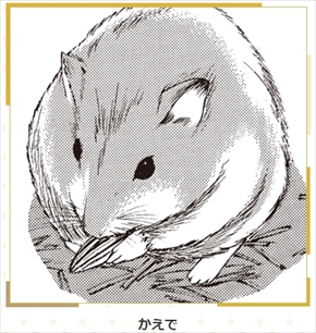 テニスの王子様 新テニスの王子様 テニプリ キャラクター人気投票 20周年 結果 かえで 鬼十次郎 ハムスター