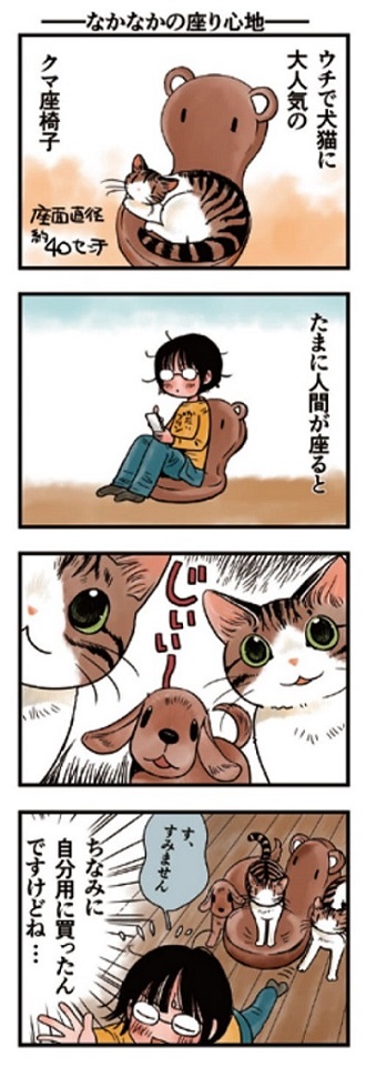 猫まみれライフ