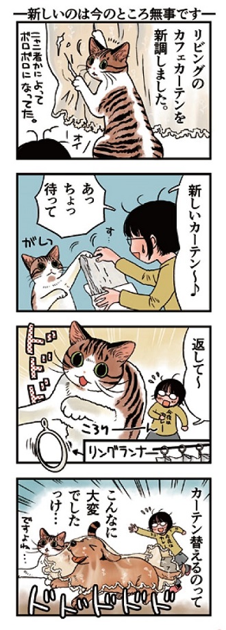 猫まみれライフ