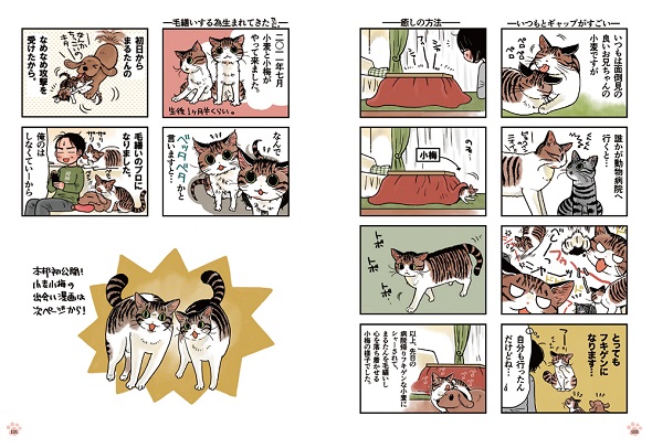 猫まみれライフ