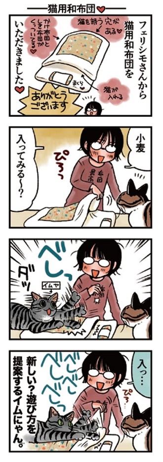 猫まみれライフ