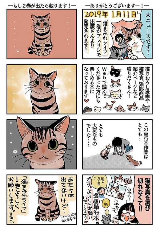 猫まみれライフ