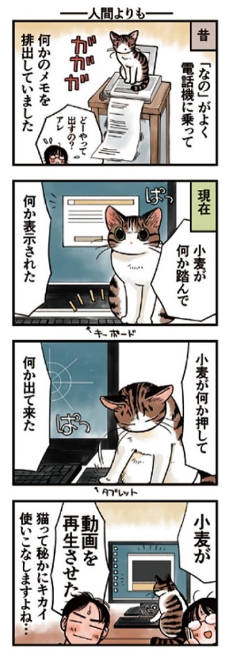 猫まみれライフ