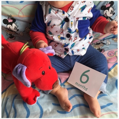 ぺこ りゅうちぇる リンク ハーフバースデー 育児 息子