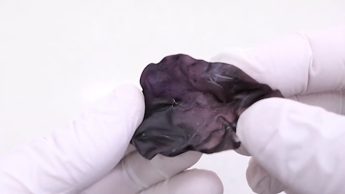 圧倒的不審者の極み 包丁