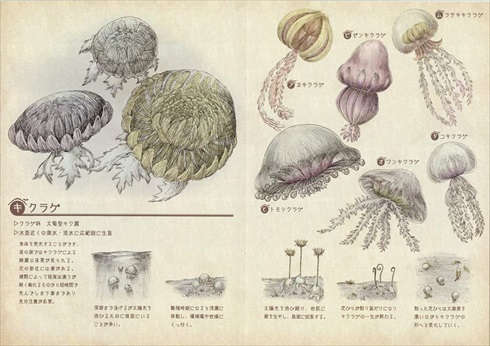 同人誌 シャッツキステ キ生物図鑑 空想