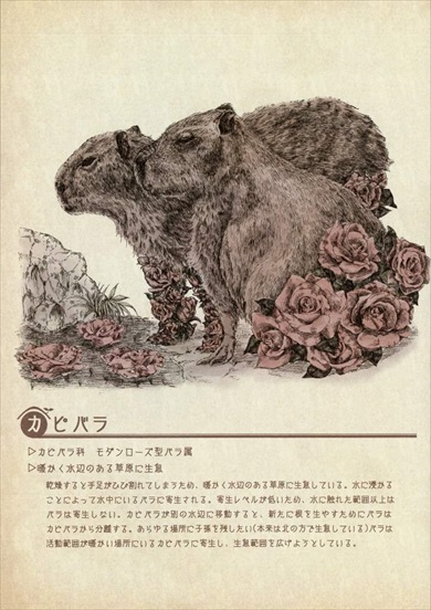 同人誌 シャッツキステ キ生物図鑑 空想