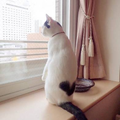 背中にハート いくらちゃん