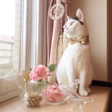 背中にハート いくらちゃん