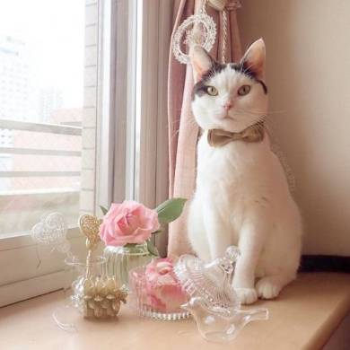 背中にハート いくらちゃん