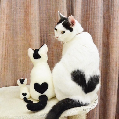 背中にハート いくらちゃん