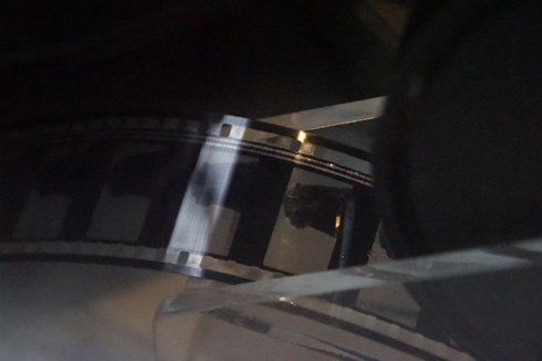 ゴジラ イチゴ バイキング スイーツ