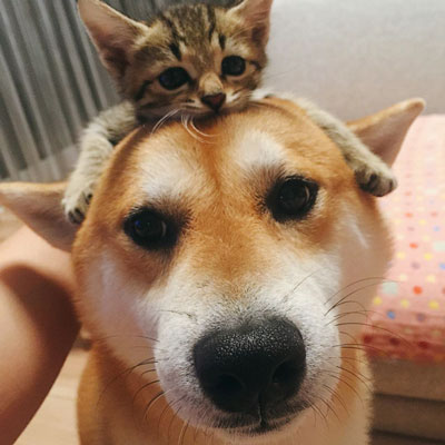 小さい頃のムギちゃん