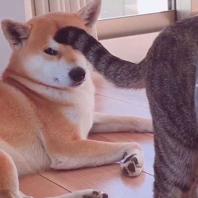 ハルくんアップ2