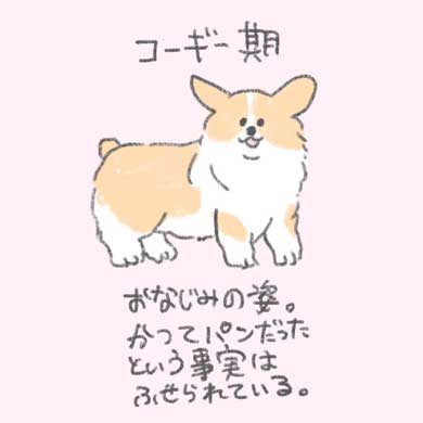 食パン 進化 コーギー パンコギ コギパン 過程 じゅん イラスト