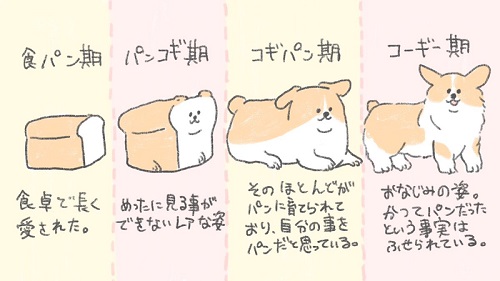 食パン 進化 コーギー パンコギ コギパン 過程 じゅん イラスト