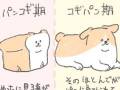 食パンは進化をたどってコーギーになった!?　かわいいイラストに「そうだったのか！」「前から思ってた」の声
