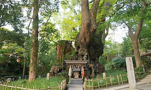 ちぷたそ　エッセイ　銭湯　サウナ　神社　御朱印　天ぷら　ねとらぼん
