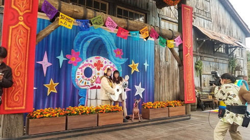 ピクサープレイタイム