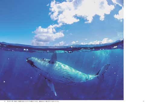 KAGAYA 写真集 星と海の楽園 ドローン