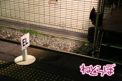 乗り鉄 夜行急行 秩父鉄道