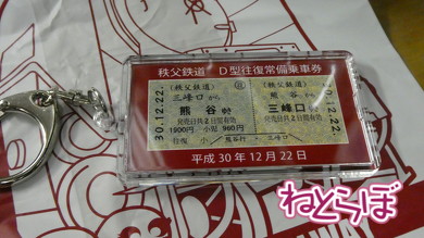 乗り鉄 夜行急行 秩父鉄道