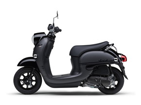 ビーノ 2019 新色