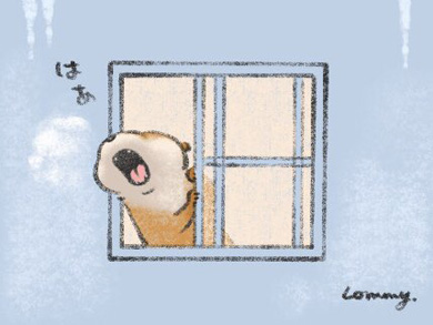 可愛い嘘のカワウソ