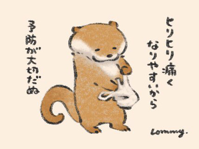 可愛い嘘のカワウソ