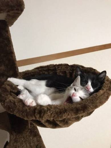 くろまめ＆とうふ