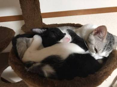 くろまめ＆とうふ