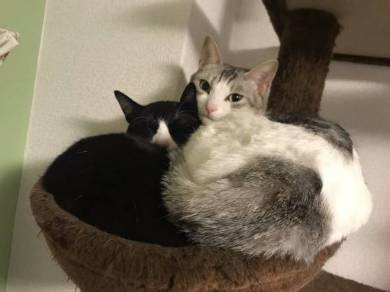 くろまめ＆とうふ