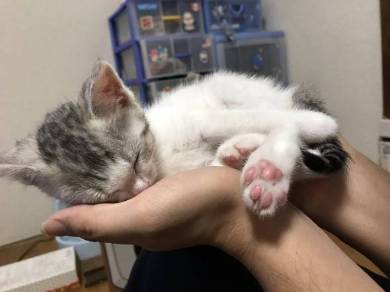 くろまめ＆とうふ