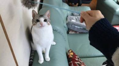 くろまめ＆とうふ