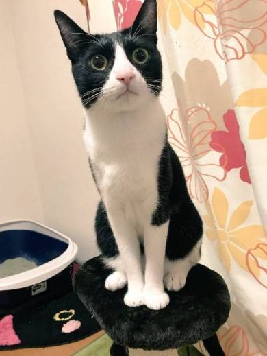 くろまめ＆とうふ